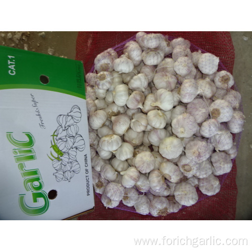 Export Standard Fresh New Normal Garlic